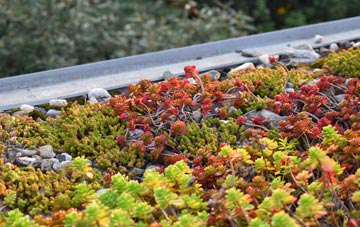 the cost of West Jesmond green roof installation