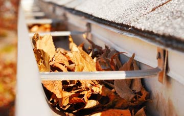 West Jesmond gutter cleaning companies