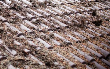 West Jesmond roof cleaning companies