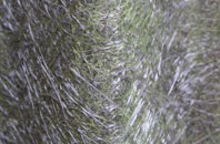 West Jesmond fibreglass roof work